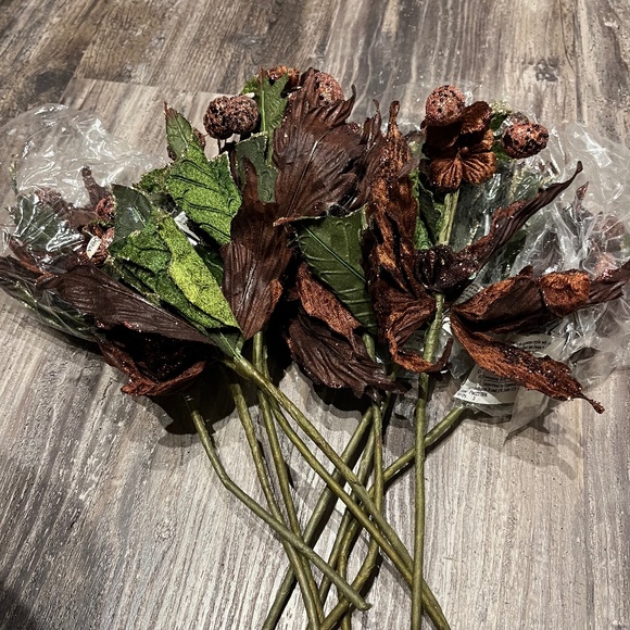 Brown poinsettias picks - Picture 1 of 2